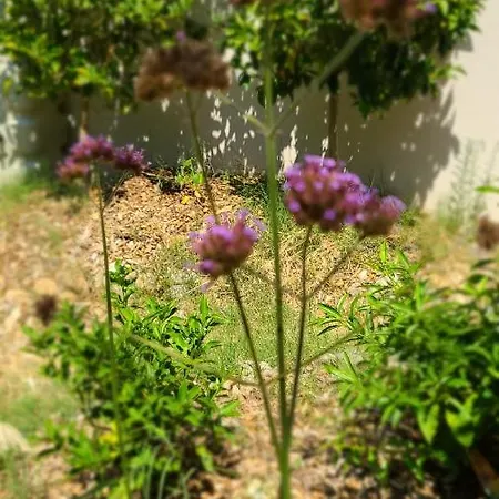 Chez Nous Dans Notre Petit Jardin